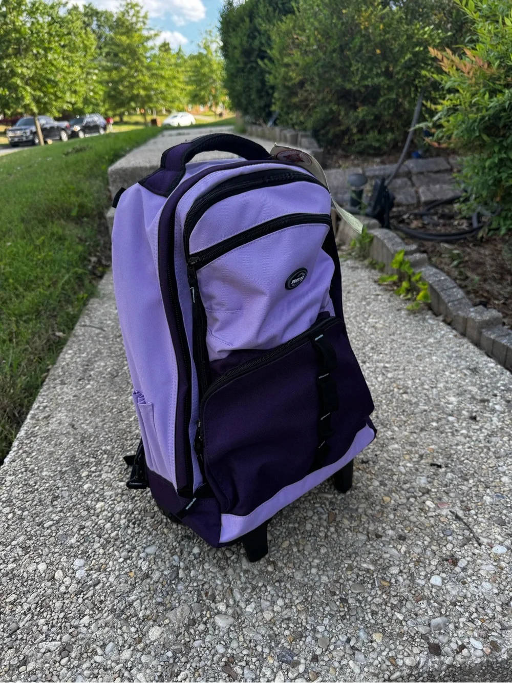 Casual Gear Purple Rolling Laptop Backpack with Dual-Tone Design